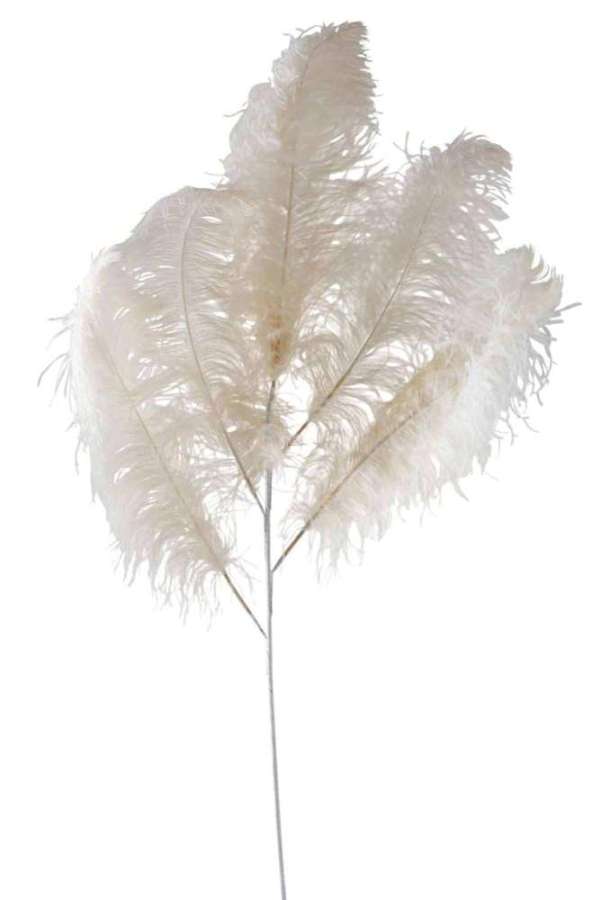 OSTRICH FEATHER 5PART CREAM LARGE