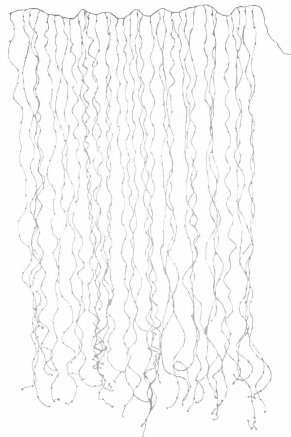 CHRISTMAS LIGHTS CURTAIN 2X3M SILVER 1020LED WARM WHITE