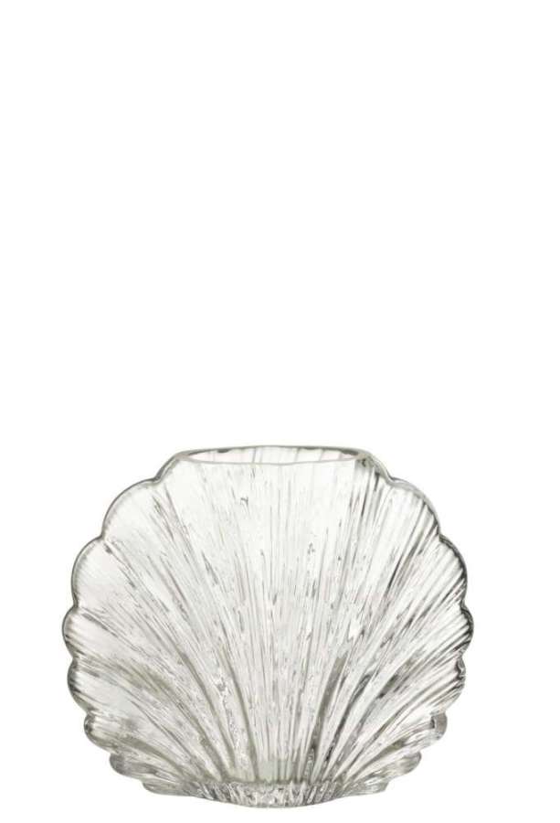 VASE SHELL GLASS TRANSPARENT SMALL