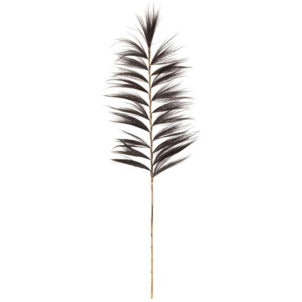 BRANCH RAYUNG GRASS BLACK