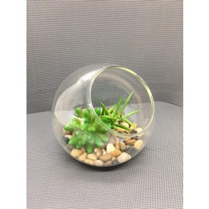 Plante i glassbolle 14x14x12 cm
