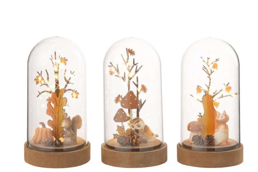 BELL JAR FOX/OWL/SQUIRREL LED WOOD/PLASTIC NATURAL/ORANGE ASSORMENT OF 3