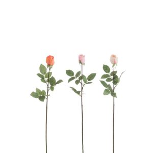 ROSE CLOSED FRESH TOUCH PLASTIC ORANGE/PINK MIX ASSORTMENT OF 3