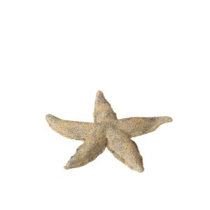 STARFISH POLYRESIN BROWN/GOLD SMALL