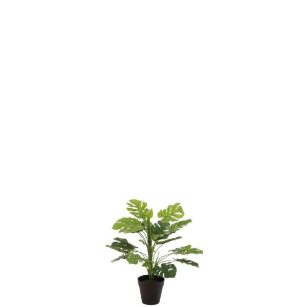 PHILODENDRON IN POT PLASTIC GREEN SMALL