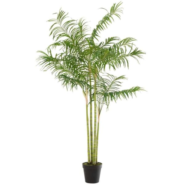 BAMBOO PALM IN POT PLASTIC GREEN/BLACK LARGE