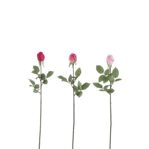ROSE CLOSED FRESH TOUCH PLASTIC PINK MIX ASSORTMENT OF 3