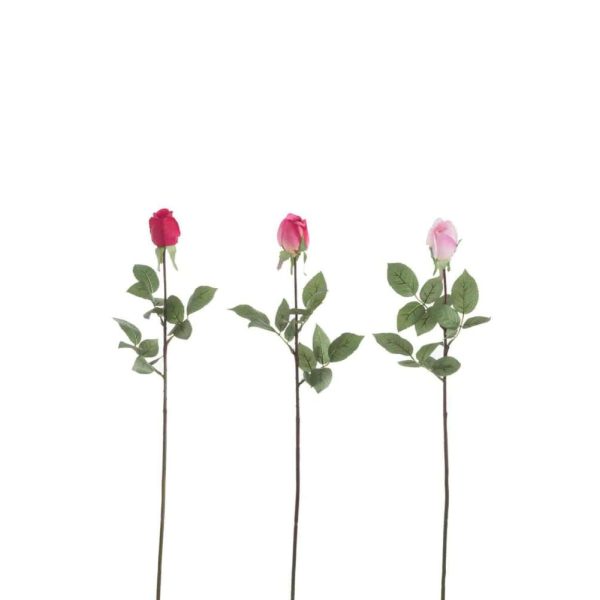 ROSE CLOSED FRESH TOUCH PLASTIC PINK MIX ASSORTMENT OF 3