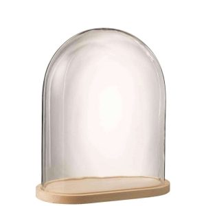 BELL JAR OVAL WOOD/GLASS TRANSPARENT/NATURAL LARGE