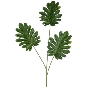 PHILODENDRON TAK 3 DELIG GROEN 76CM