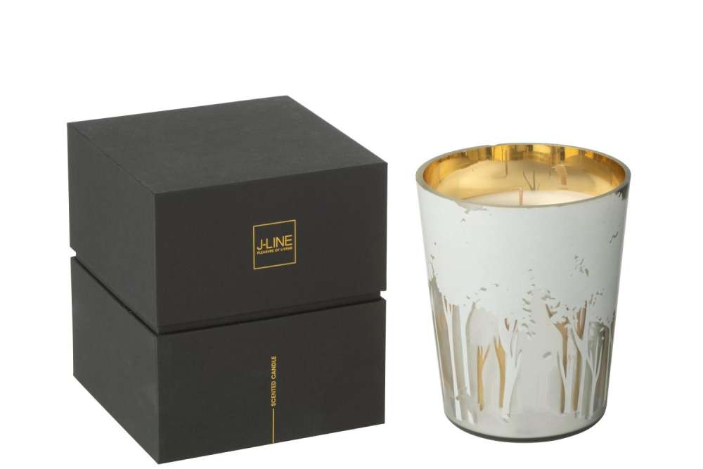 SCENTED CANDLE NOA FOREST SOYA WHITE/GOLD COLORED MEDIUM-68H