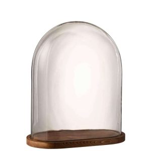 BELL JAR OVAL WOOD/GLASS TRANSPARENT/DARK BROWN LARGE