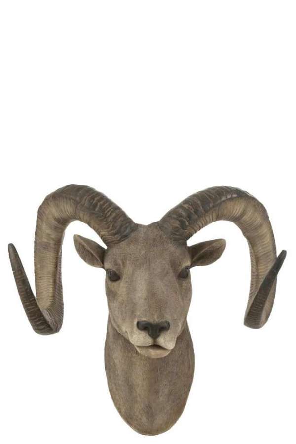 GOAT HEAD POLY GREY