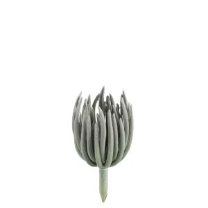 ECHEVERIA PLASTIC MATTE GREEN