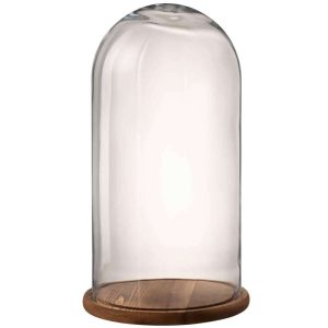 BELL JAR ROUND WOOD/GLASS TRANSPARENT/DARK BROWN LARGE