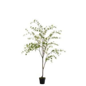 PLANT FINE LEAVES PLASTIC GREEN/BLACK