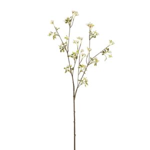 FORGET-ME-NOT PLASTIC WHITE