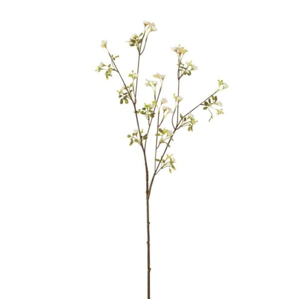 FORGET-ME-NOT PLASTIC WHITE
