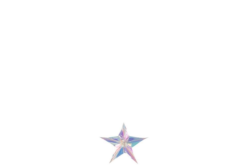 HANGER STAR PET MULTICOLORED SMALL