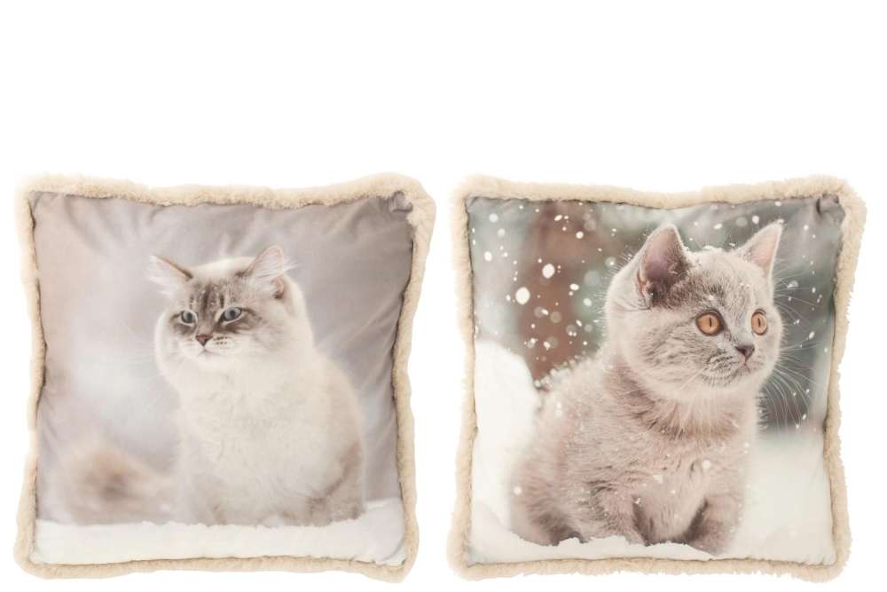 CUSHION CAT POLYESTER GREIGE/OFF-WHITE LARGE ASSORTMENT OF 2