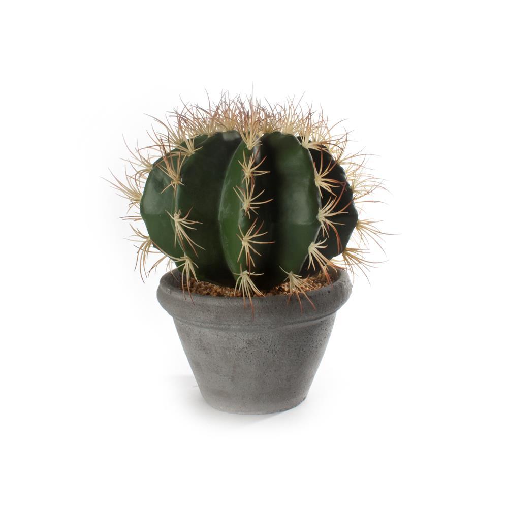 Kaktus M/Potte Sement Rund/stor 28X33Cm