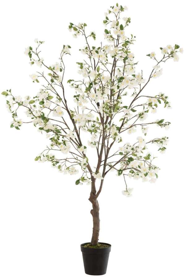 BLOSSOMTREE PLASTIC WHITE/BROWN EXTRA LARGE