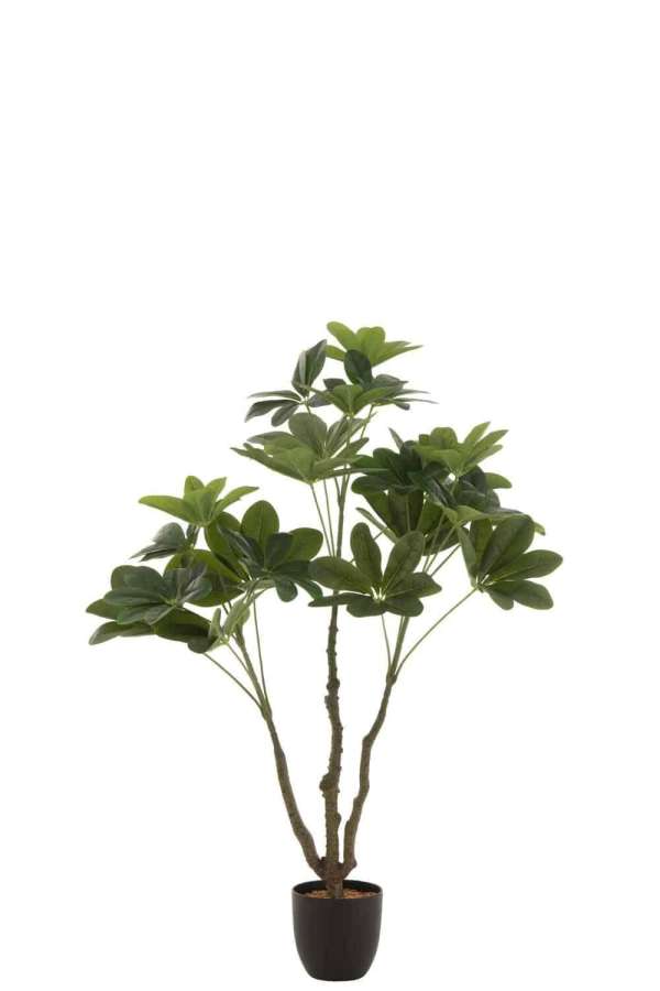MONEY TREE POT PLASTIC GREEN S