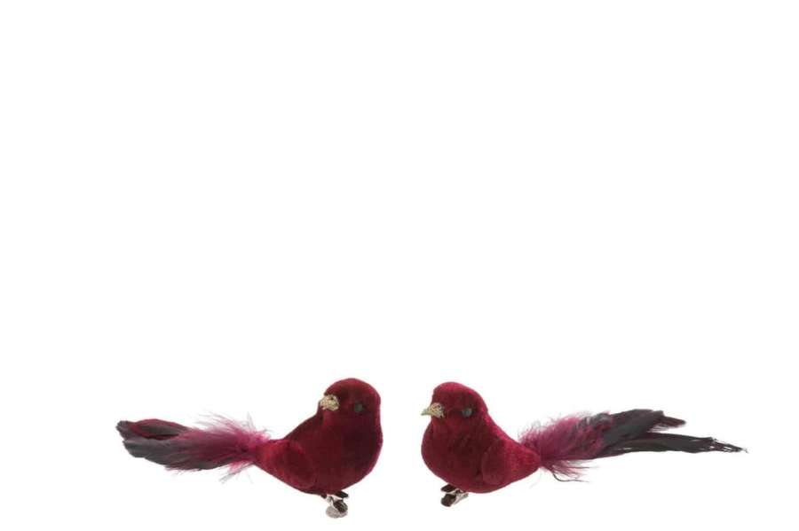 BIRD+CLIP VELVET MAROON ASSORTMENT OF 2