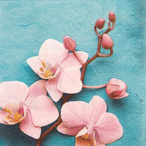 Serviett Lunch 33X33Cm