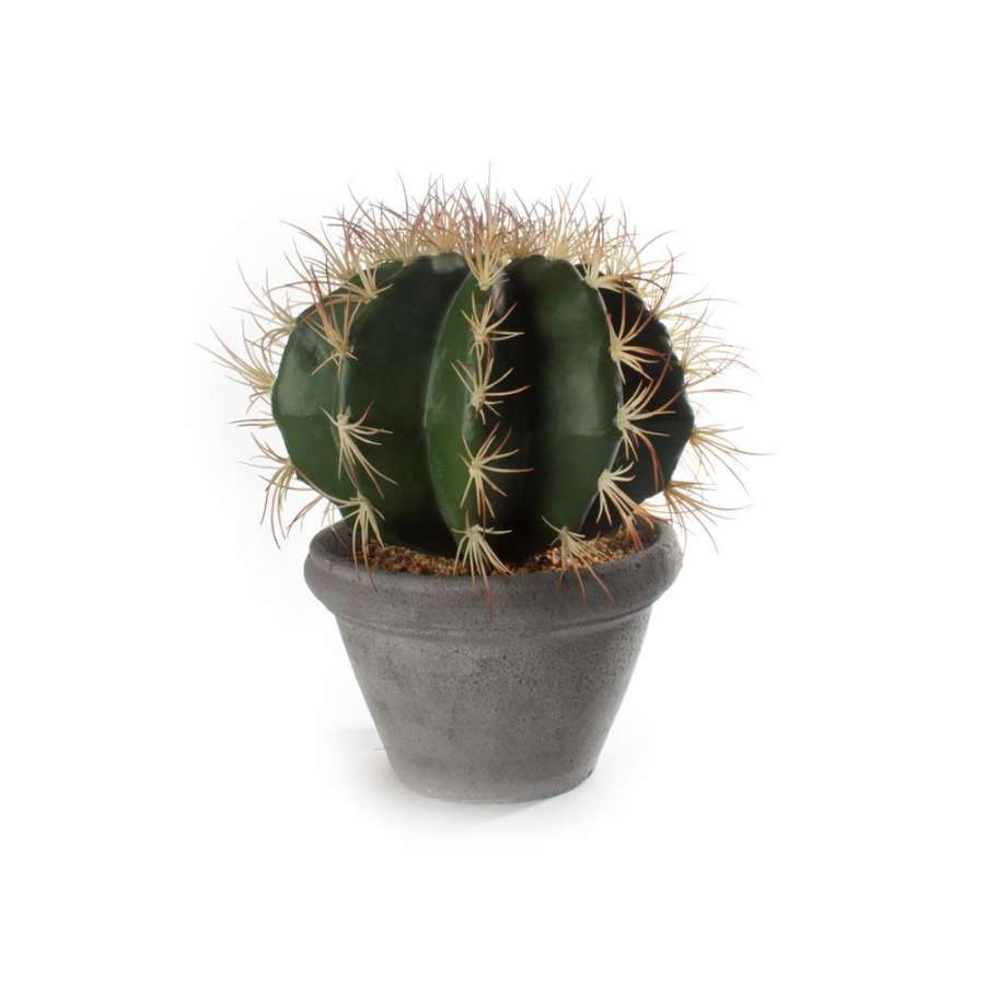 Kaktus M/Potte Sement Rund/stor 28X33Cm