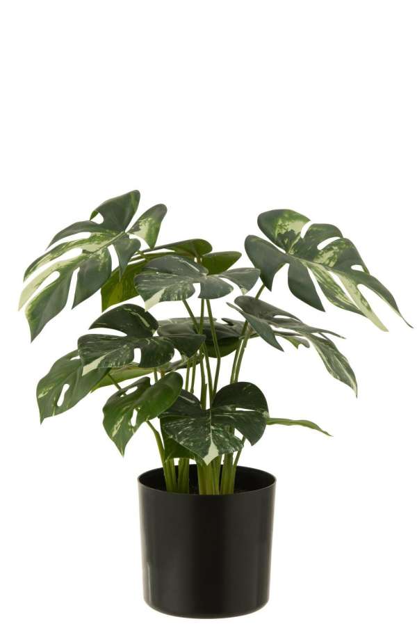 MONSTERA IN POT ARTIFICIAL GREEN