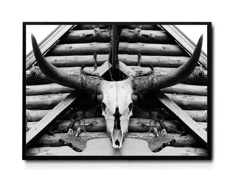 Bilde Canvas M/Ram. Dyrehode 3 50X70Cm