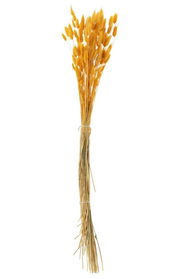 BUNDLE BUNNYTAIL DRIED GOLD