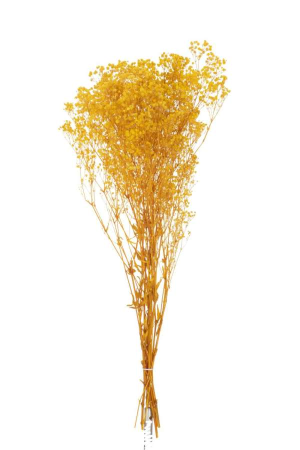 BUNDLE DRIED GYPSOPHILIA YELLOW