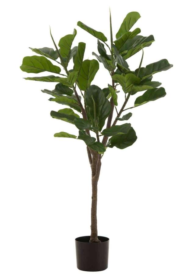 FIDDLE LEAF FIG PLASTIC GREEN