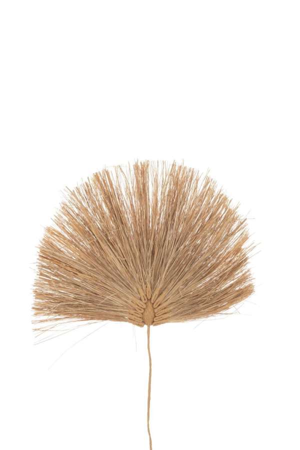 BRANCH LEAF GRASS NATURAL