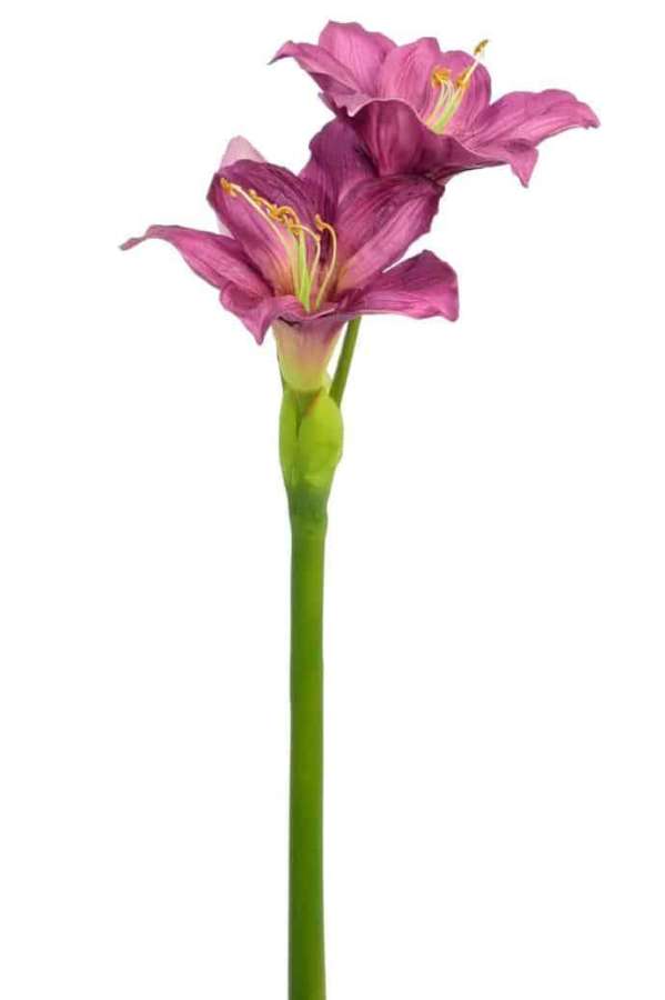 AMARYLLIS PURPLE 86CM