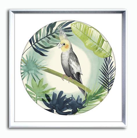 Bilde M/Ram/Gla. Pappegøye 1 46x46Cm