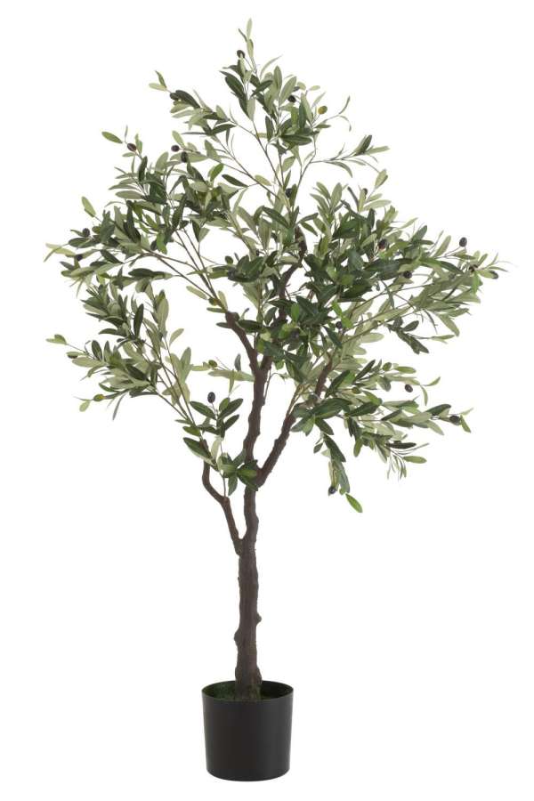 OLIVE TREE IN POT PLASTIC GREEN LARGE