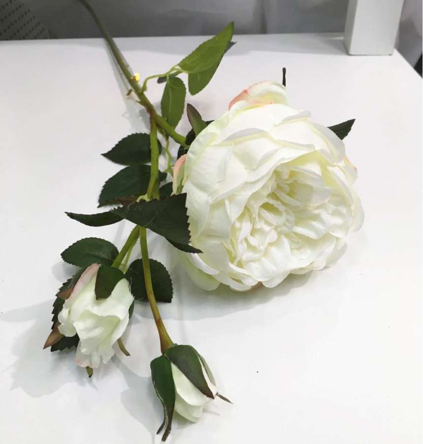 Blomst Rose 1Rose 2Knopper Hvit 77Cm