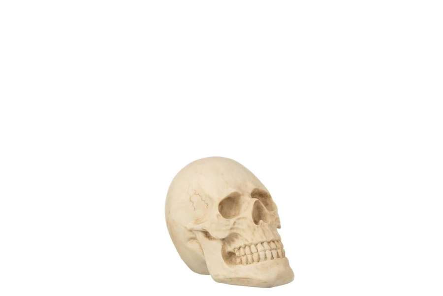 SKULL POLY BEIGE SMALL