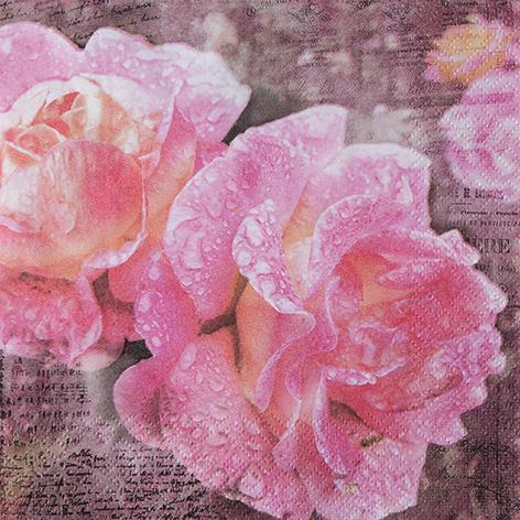 Serviett Lunch 33X33Cm