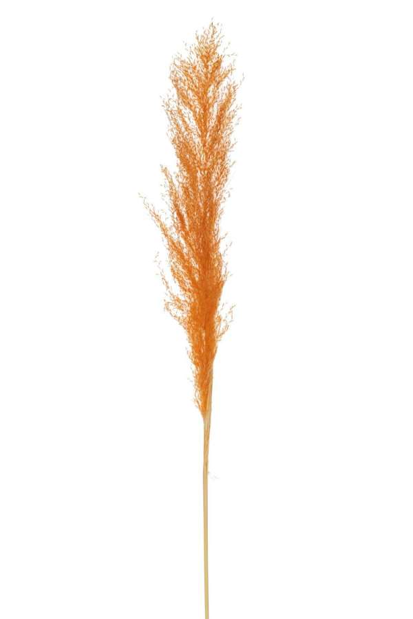 BRANCH FEATHER PAMPAS GRASS RUST ORANGE
