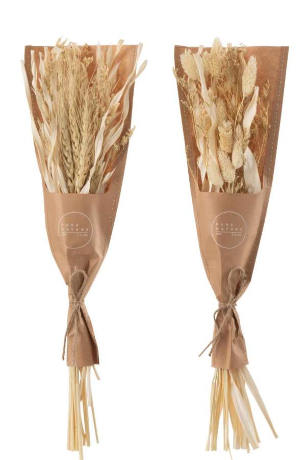 BUNCH DRIED AVANA GRASS NATURAL ASSORTMENT OF 2