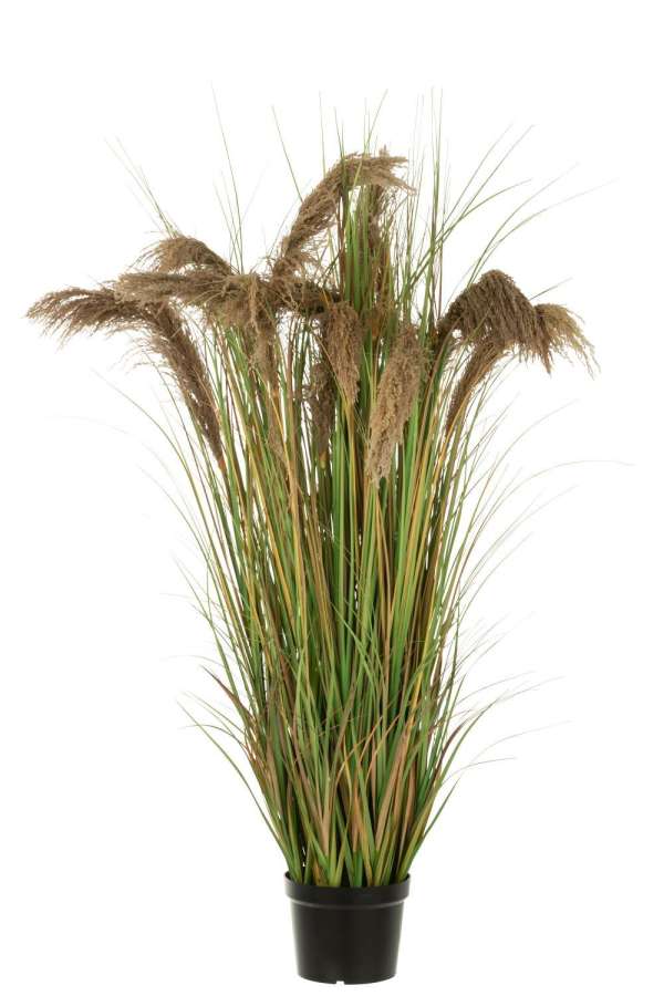 PAMPAS GRASS 13 HEADS IN POT PVC GREEN/BEIGE LARGE