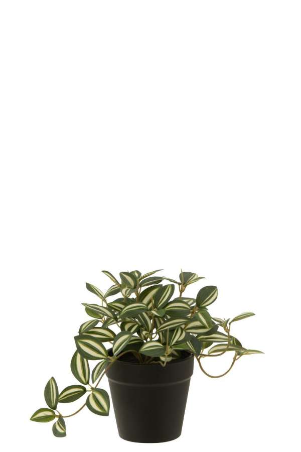TRADESCANTIA IN POT ARTIFICIAL GREEN/WHITE