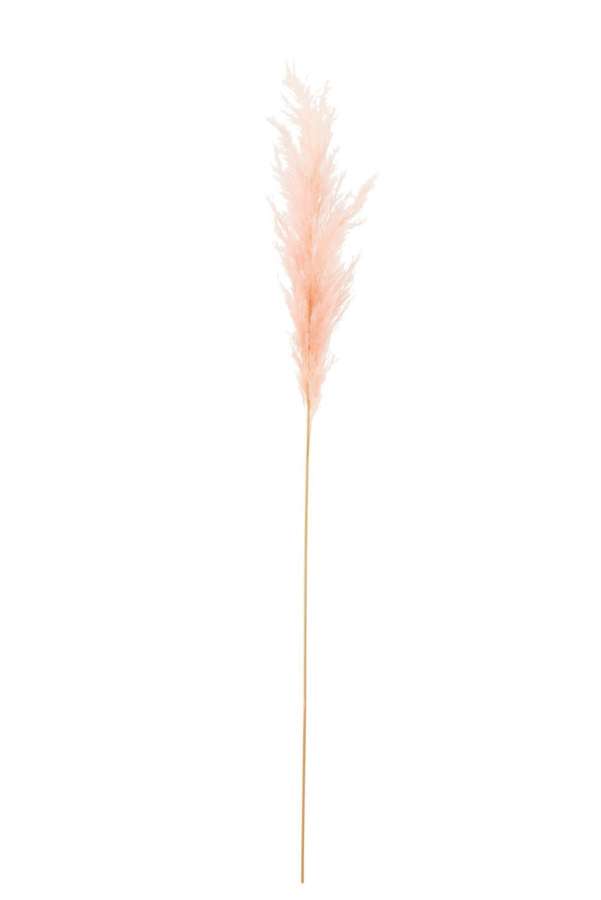 BRANCH PLUME PAMPAS LIGHT PINK