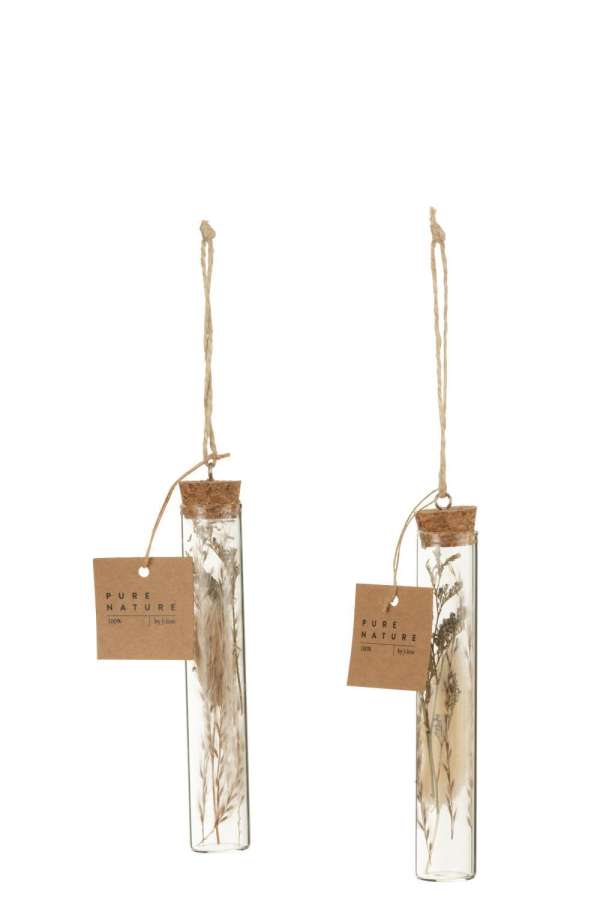 HANGING TUBES WITH DRIED FLOWERS GLASS NATURAL ASSORTMENT OF 2