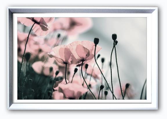 Bilde m/Ramme/Glass og passpartout. Blomstereng nr 2 - 36x56cm