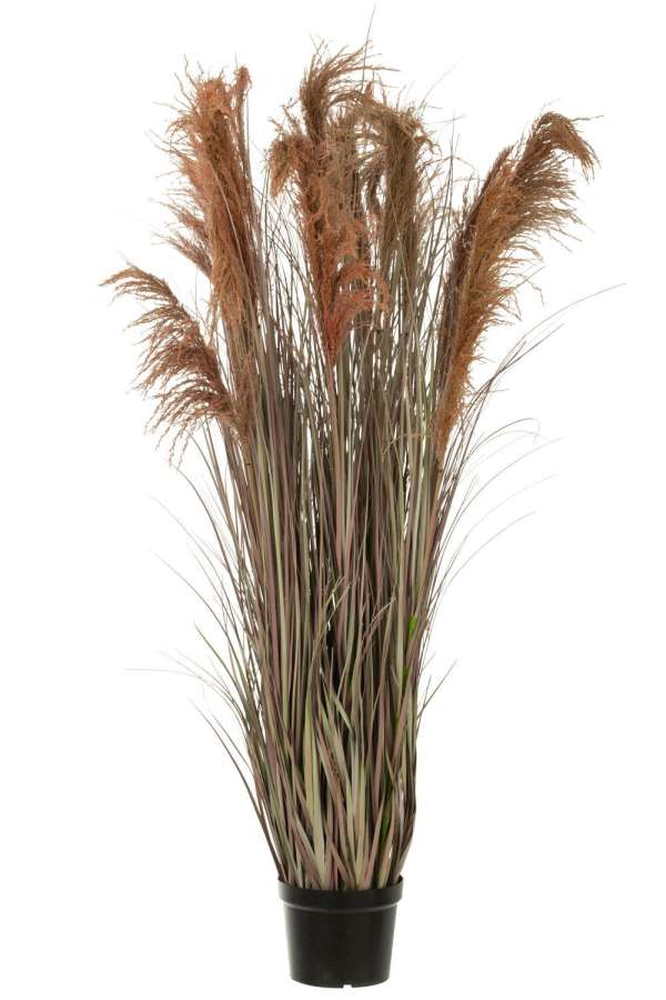PAMPAS GRASS 13 HEADS IN POT PVC GREEN/ORANGE LARGE